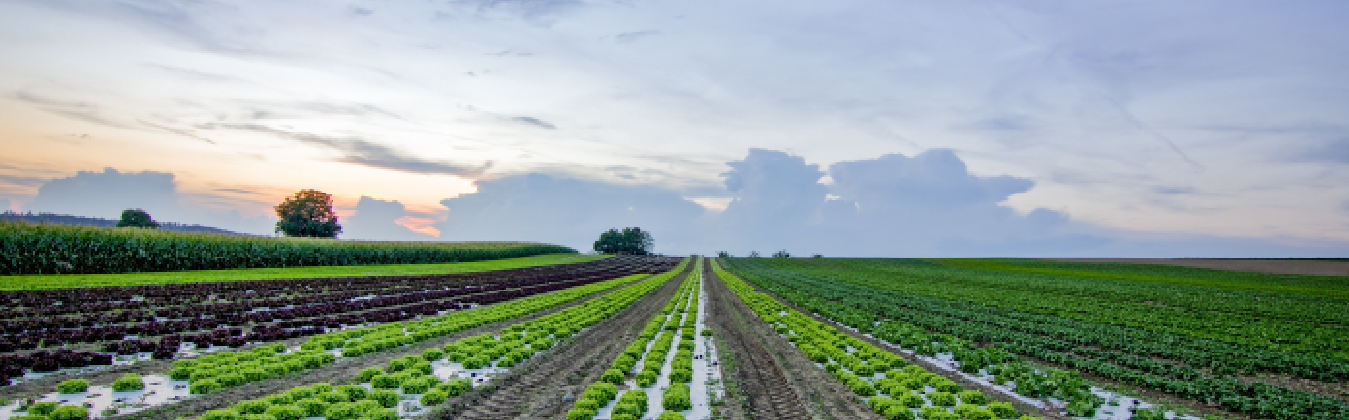 ESTABLISHMENT OF SUSTAINABLE GROUNDWATER MANAGEMENT PLATFORM IN THE LOWER MEKONG REGION