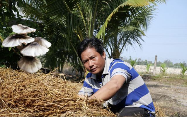 Transforming Rice Straw into Opportunity: A Sustainable Solution for Vietnam and Cambodia