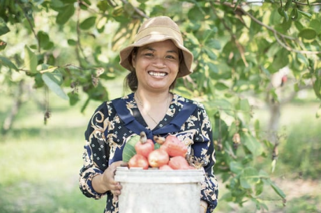 Knowledge sharing on smart technology for agriculture production among cashew nut farmers in Cambodia.